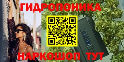 трава Краснодар