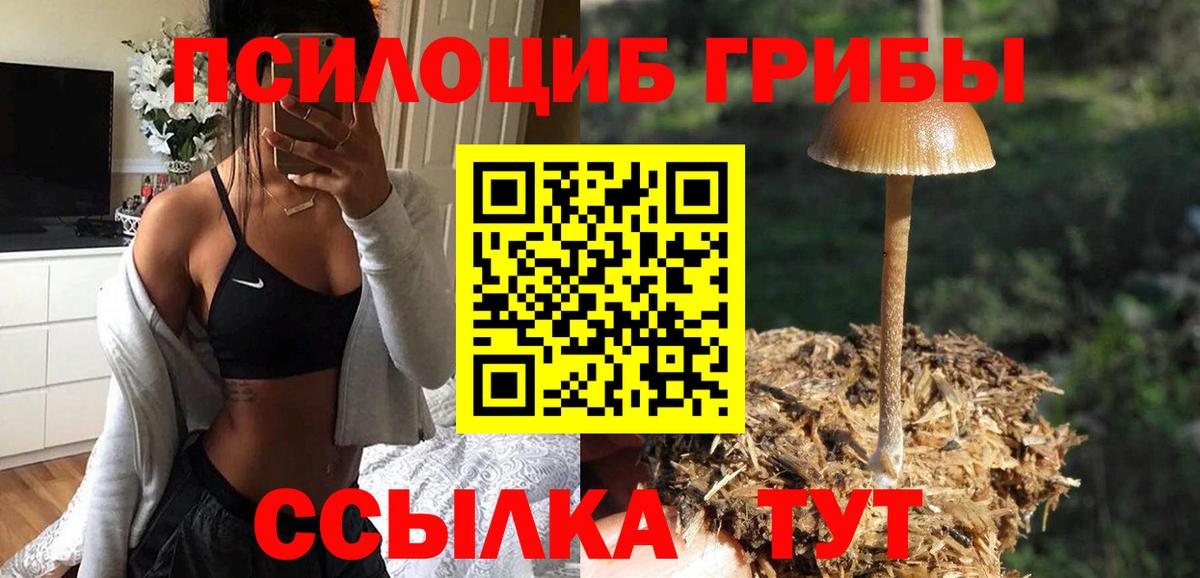 Галлюциногенные грибы ЛСД Карталы