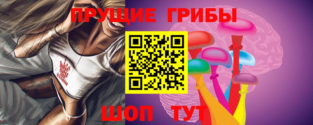 Псилоцибиновые грибы прущие грибы  Вход с VPN  где можно купить   Карталы 